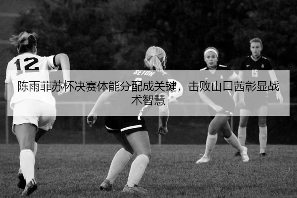 chen-yu-fei-su-bei-jue-sai-ti-neng-fen-pei-cheng-guan-jian-ji-bai-shan-kou-qian-zhang-xian-zhan-shu-zhi-hui-2-896.jpg